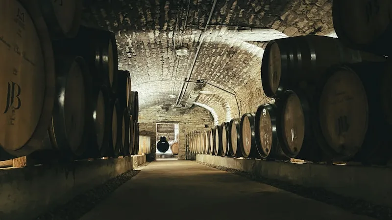 Historic wine cellar